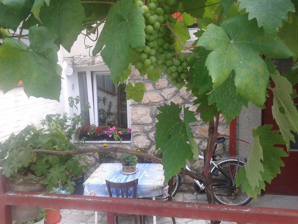 Hotel House Nativa à Ohrid Extérieur photo